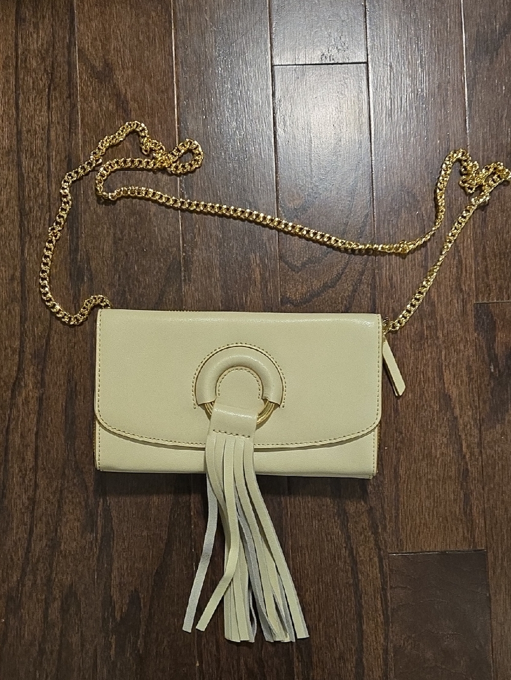 Banana Republic Tassel Chain Crossbody Bag